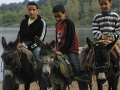 me on my donkey